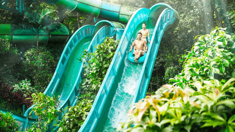 Adventure Cove Singapore Waterpark - Bubble Fiesta Package