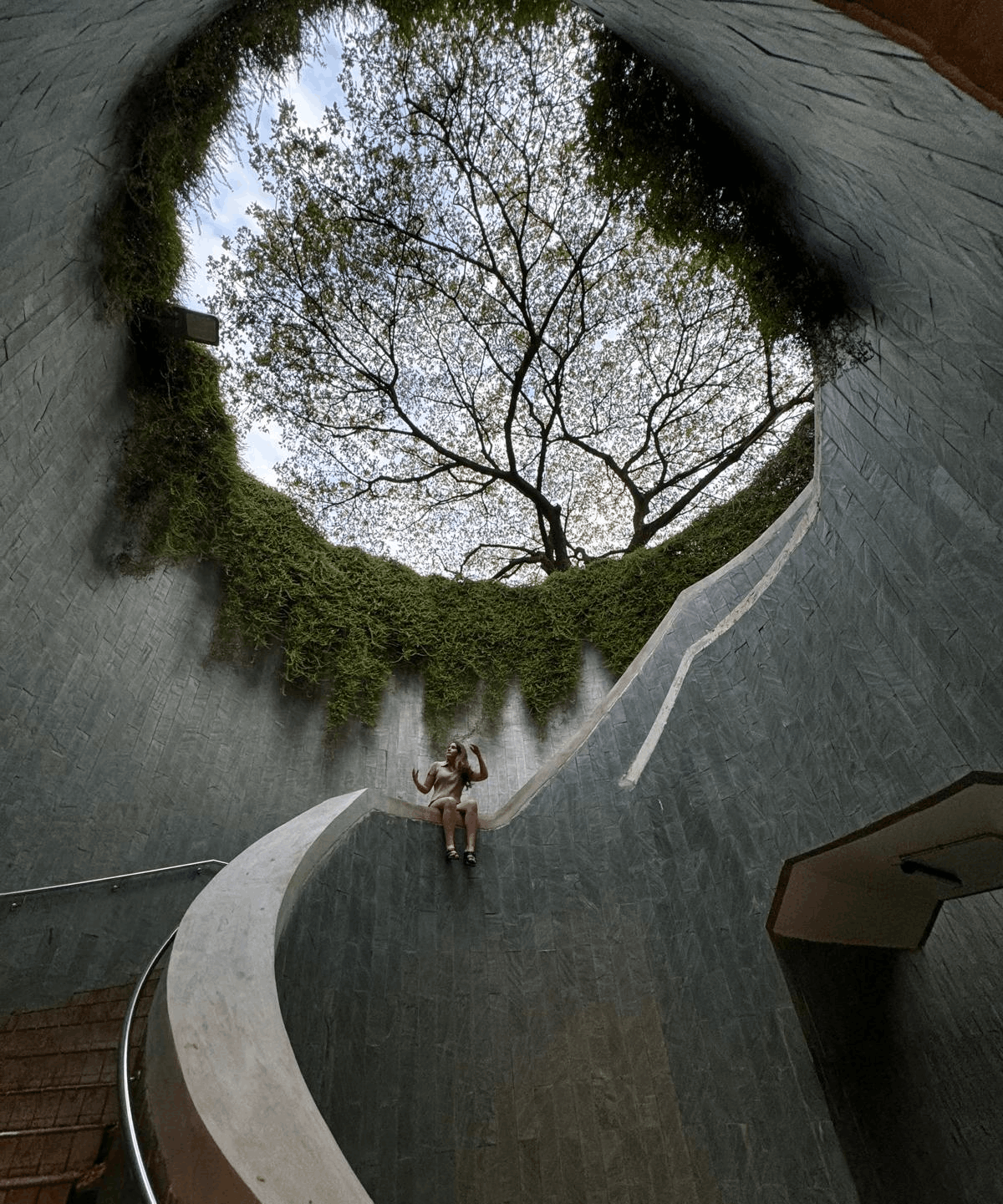 Discover Singapore Fort Canning Tree Tunnel