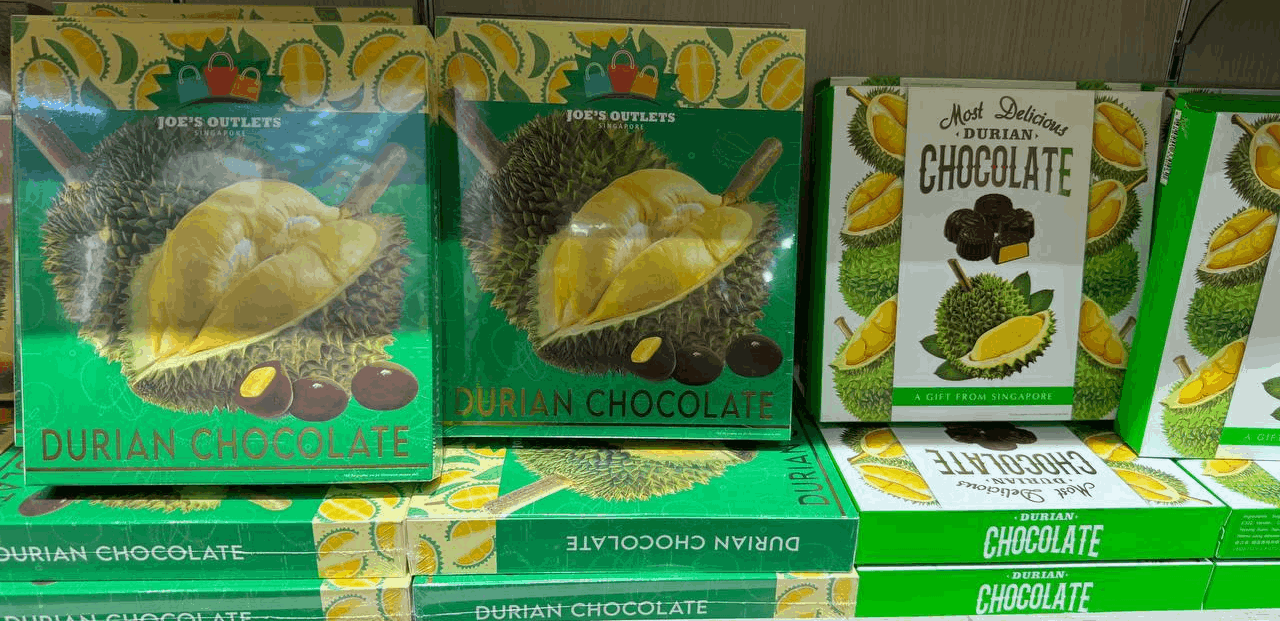 Durian Chocolate Singapore Sightseeing City Tour