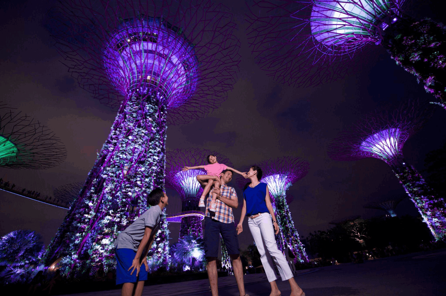 Garden Rhapsody at Gardens by the Bay