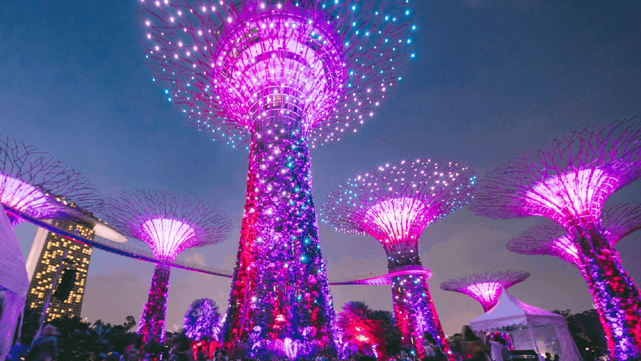  Illuminated Supertrees glowing during the Garden Rhapsody light and sound show at Gardens by the Bay in Singapore.