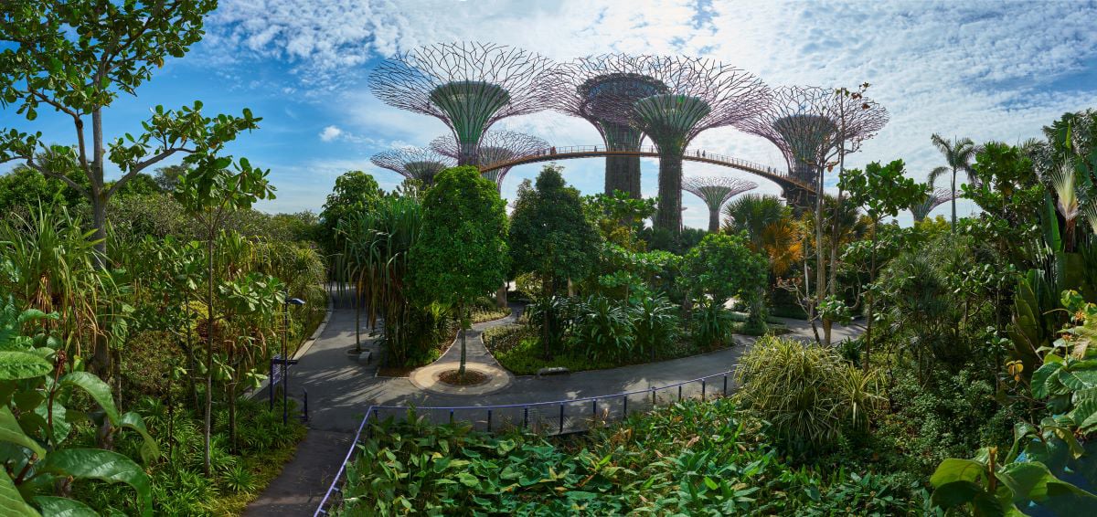 Gardens by the Bay Singapore Supertrees