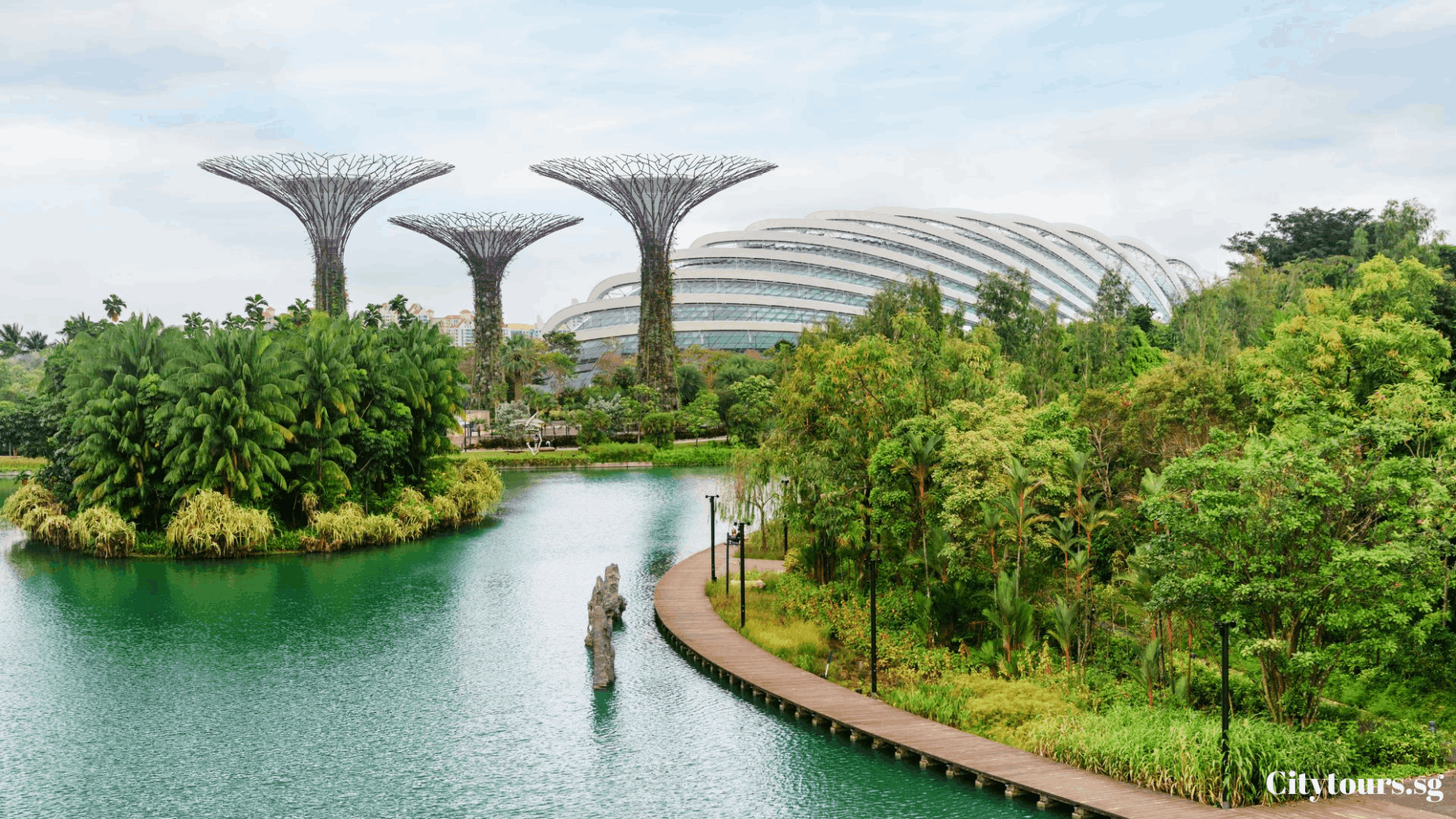Gardens by the Bay with Supertree Grove and lush greenery, a must-visit attraction for travellers on a Singapore stopover itinerary.