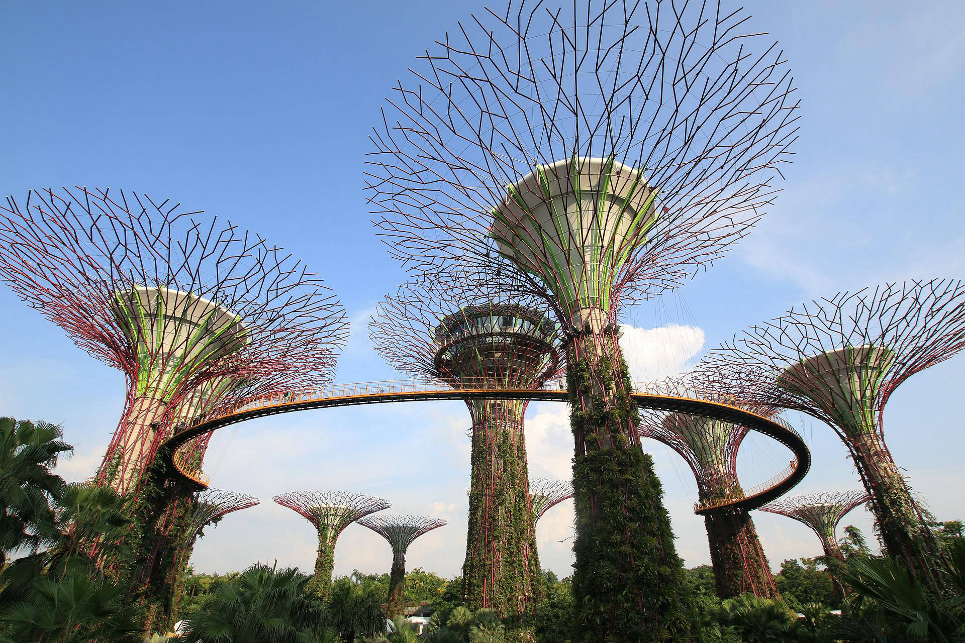 Gardens by the Bay Singapore