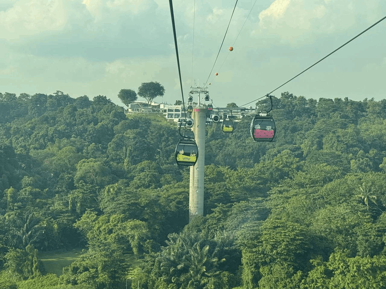 Singapore Cable Car cabins gliding over the lush tropical rainforest of Mount Faber, offering a scenic aerial view of the island's greenery under a summer sky.
