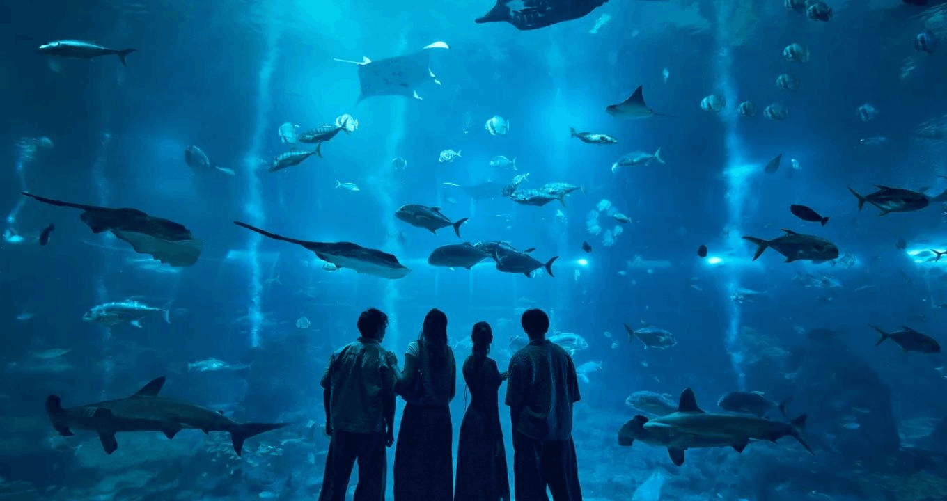 Visitors watching sharks, rays and marine life at Singapore Oceanarium, an indoor Sentosa attraction for first-time visitors on a 3-day Singapore itinerary.
