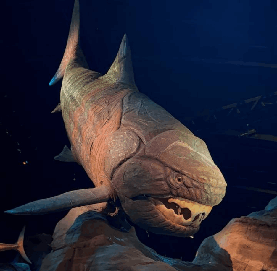 Prehistoric marine life exhibit at Singapore Oceanarium, an immersive indoor attraction for families and ocean lovers in Singapore.