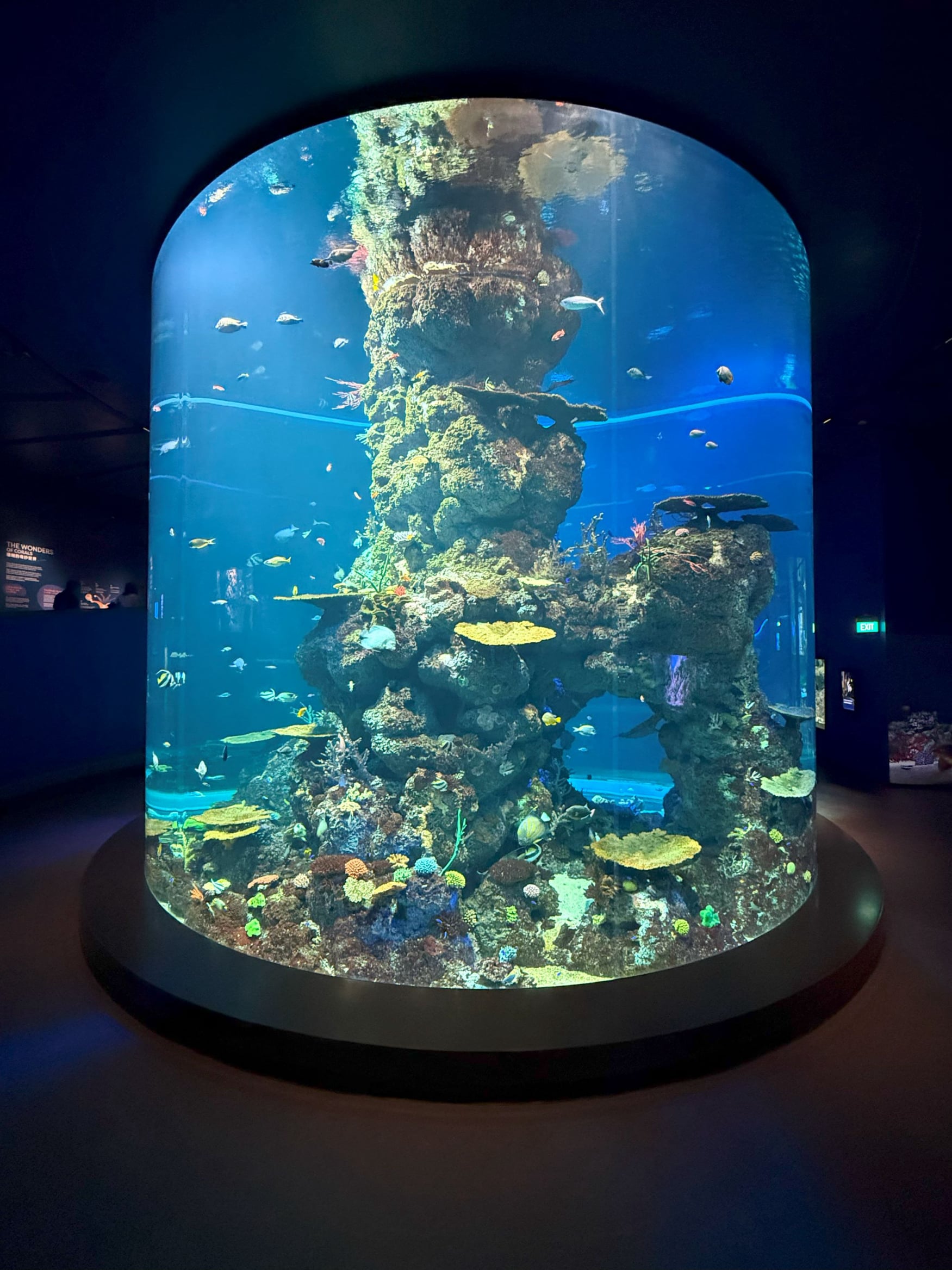 Dimly lit aquarium tank at the Singapore Oceanarium, illuminated by blue lightings.