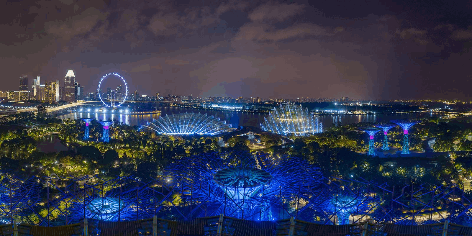 Supertree Grove at Gardens by the Bay