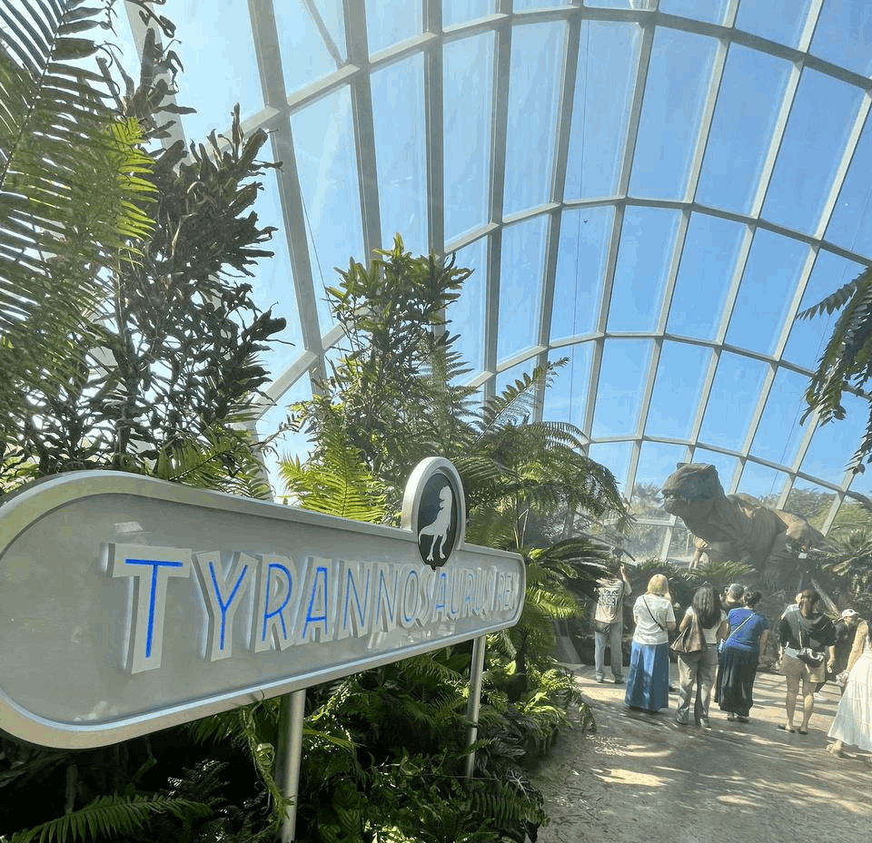 Visitors walking through the Tyrannosaurus exhibit at Jurassic World: The Experience in Gardens by the Bay’s Cloud Forest, with lush greenery, a large animatronic T-Rex, and a glass-domed roof letting in bright sunlight.